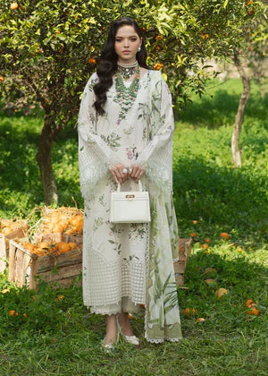 Sardinia Embroidered Chikankari Unstitched 3 Pcs